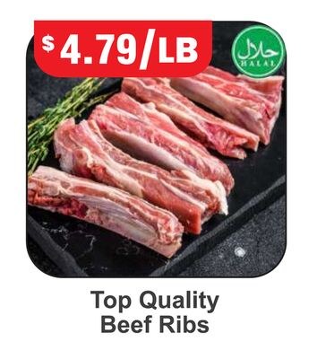 Top Quality Beef Ribs