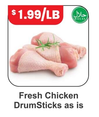 Fresh Chicken DrumSticks