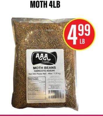 MOTH 4LB