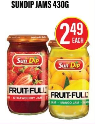 SUNDIP JAMS 430G