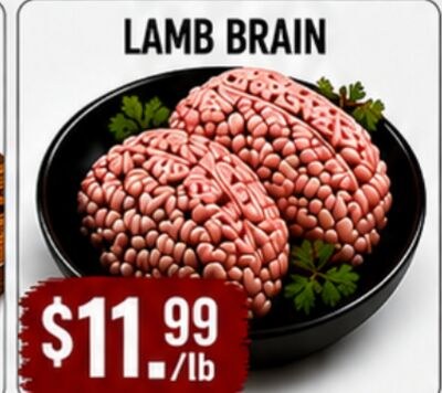 LAMB BRAIN