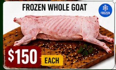FROZEN WHOLE GOAT