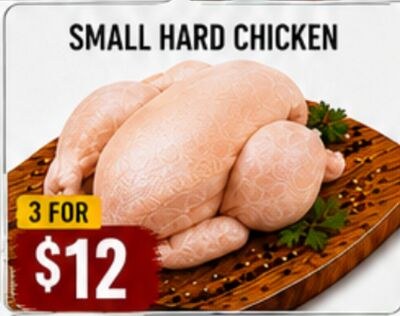 SMALL HARD CHICKEN