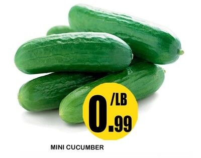 MINI CUCUMBER