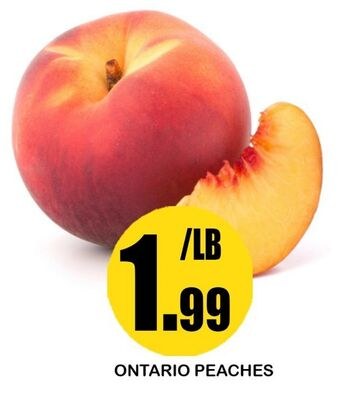 ONTARIO PEACHES