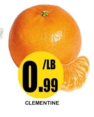 CLEMENTINE