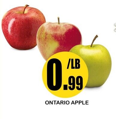 ONTARIO APPLE