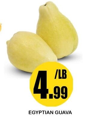 EGYPTIAN GUAVA