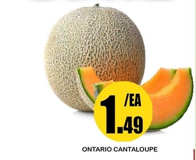 ONTARIO CANTALOUPE