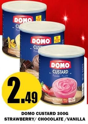 DOMO CUSTARD