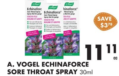 VOGEL ECHINAFORCE SORE THROAT SPRAY