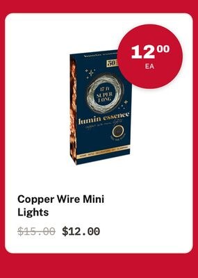Copper Wire Mini Lights
