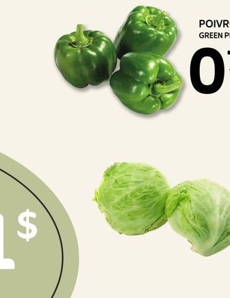 Poivron Vert