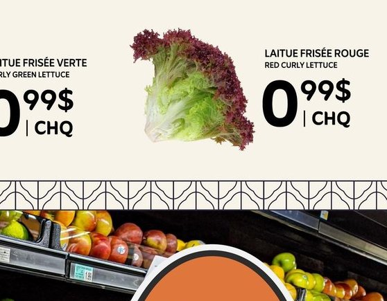 Laitue Romaine