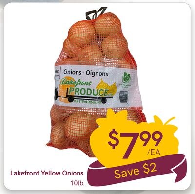 Lakefront Yellow Onions