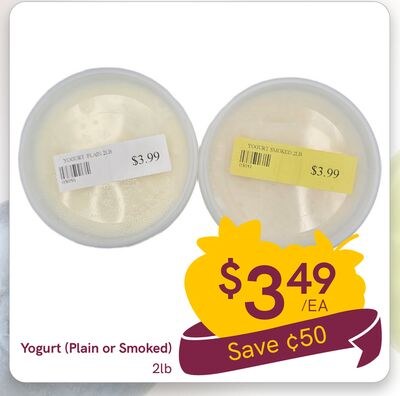 Yogurt (Plain or Smoked)