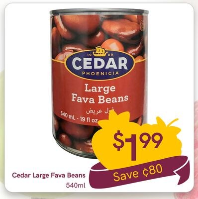 Cedar Large Fava Beans