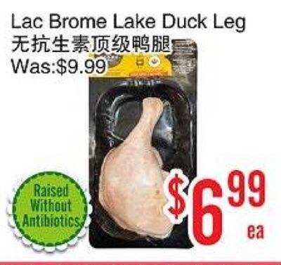 Lac Brome Lake Duck Leg
