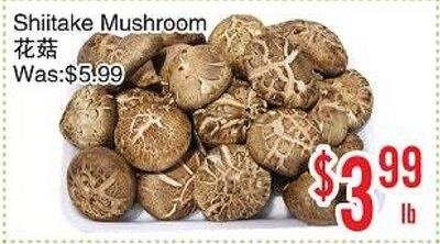 Shiitake Mushroom