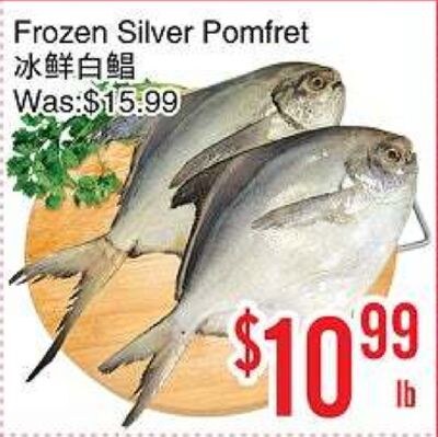 Frozen Silver Pomfret