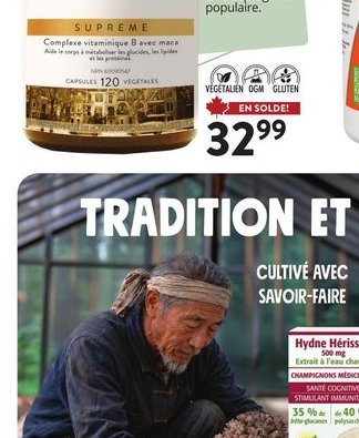 Hydne Hérisson New Roots Herbal
