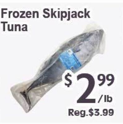 Frozen Skipjack Tuna