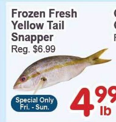 Frozen Fresh Yellow Tail Snapper