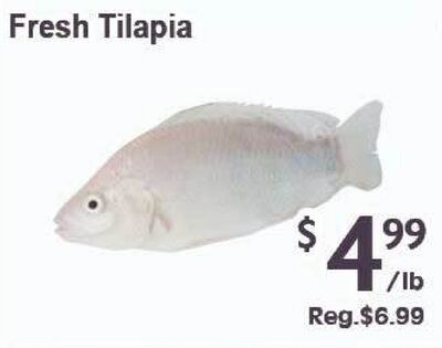 Fresh Tilapia