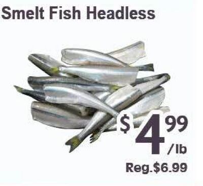 Smelt Fish Headless