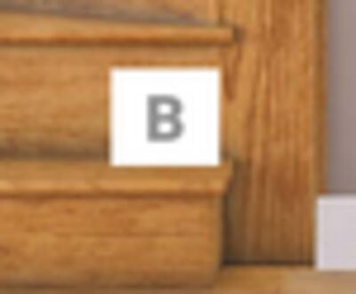 B - RISER