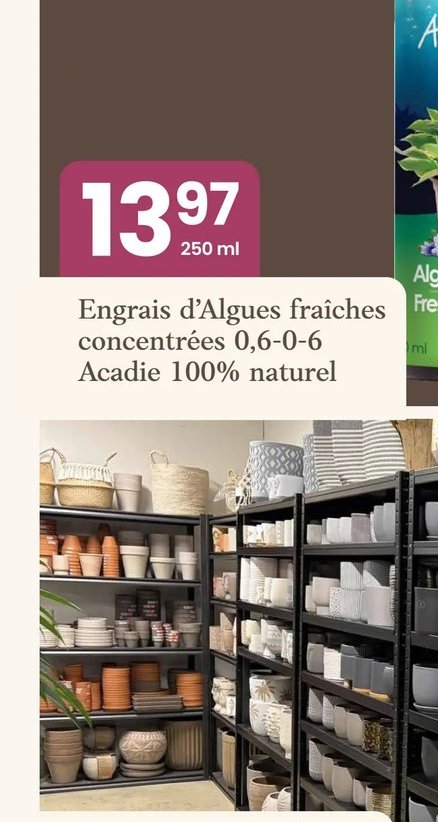 Engrais d'Algues fraîches concentrées 0,6-0-6 A…