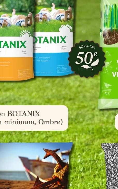 Semences à gazon Botanix Entretien minimum