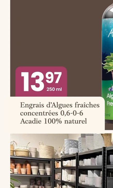 Engrais d'Algues fraîches concentrées 0,6-0-6 A…