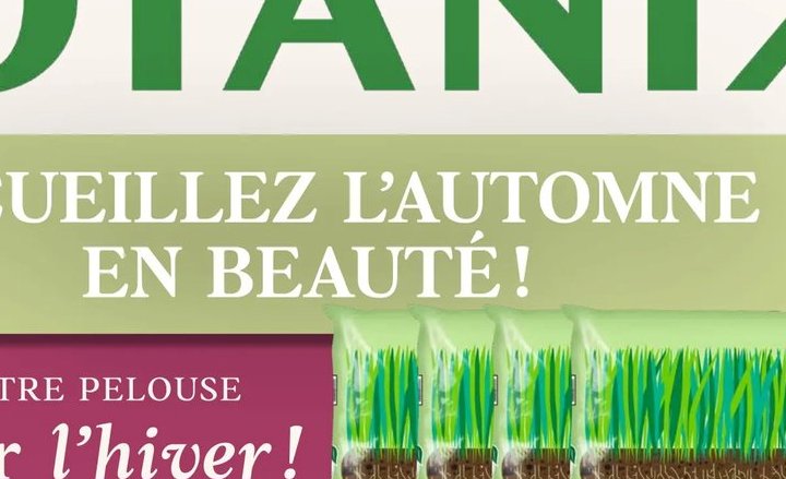 Fafard Viva Lawn Viva Pelouse