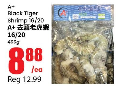 A+ Black Tiger Shrimp 16/20