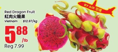 Red Dragon Fruit