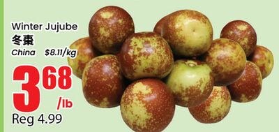 Winter Jujube