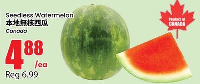 Seedless Watermelon