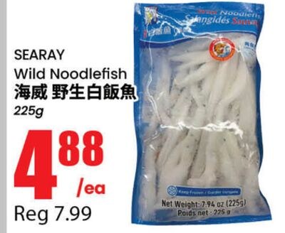 SEARAY Wild Noodlefish