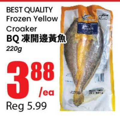 BEST QUALITY Frozen Yellow Croaker