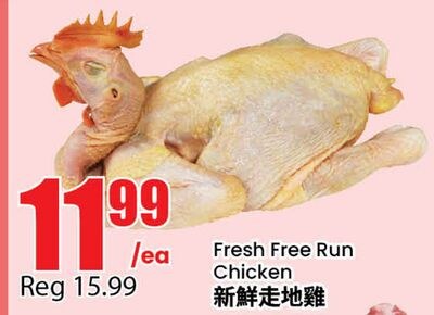 Fresh Free Run Chicken