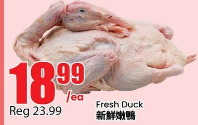 Fresh Duck