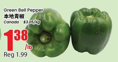 Green Bell Pepper