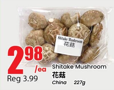 Shiitake Mushroom