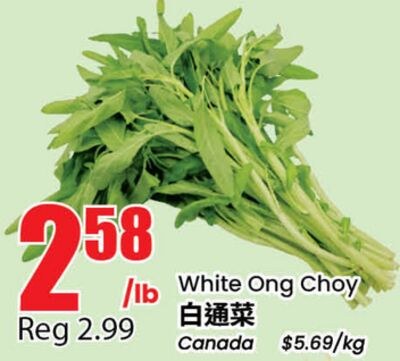 White Ong Choy