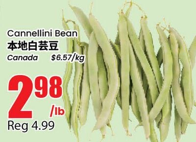 Cannellini Bean