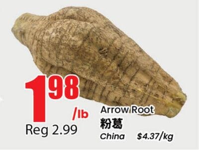 Arrow Root