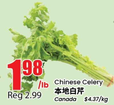 Chinese Celery