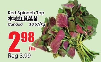 Red Spinach Top