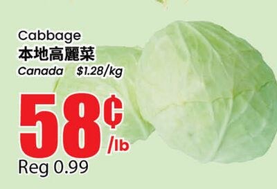 Cabbage